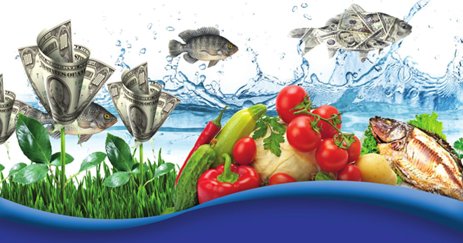 Home aquaponics system