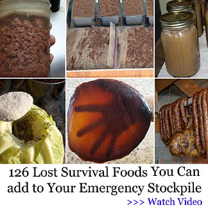 The Lost Superfoods book